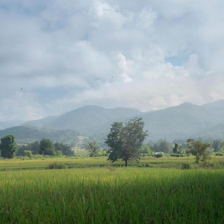 Camp View Mountain - Sell Experience By Paddy Fields Haven - Natures Nest باي المظهر الخارجي الصورة