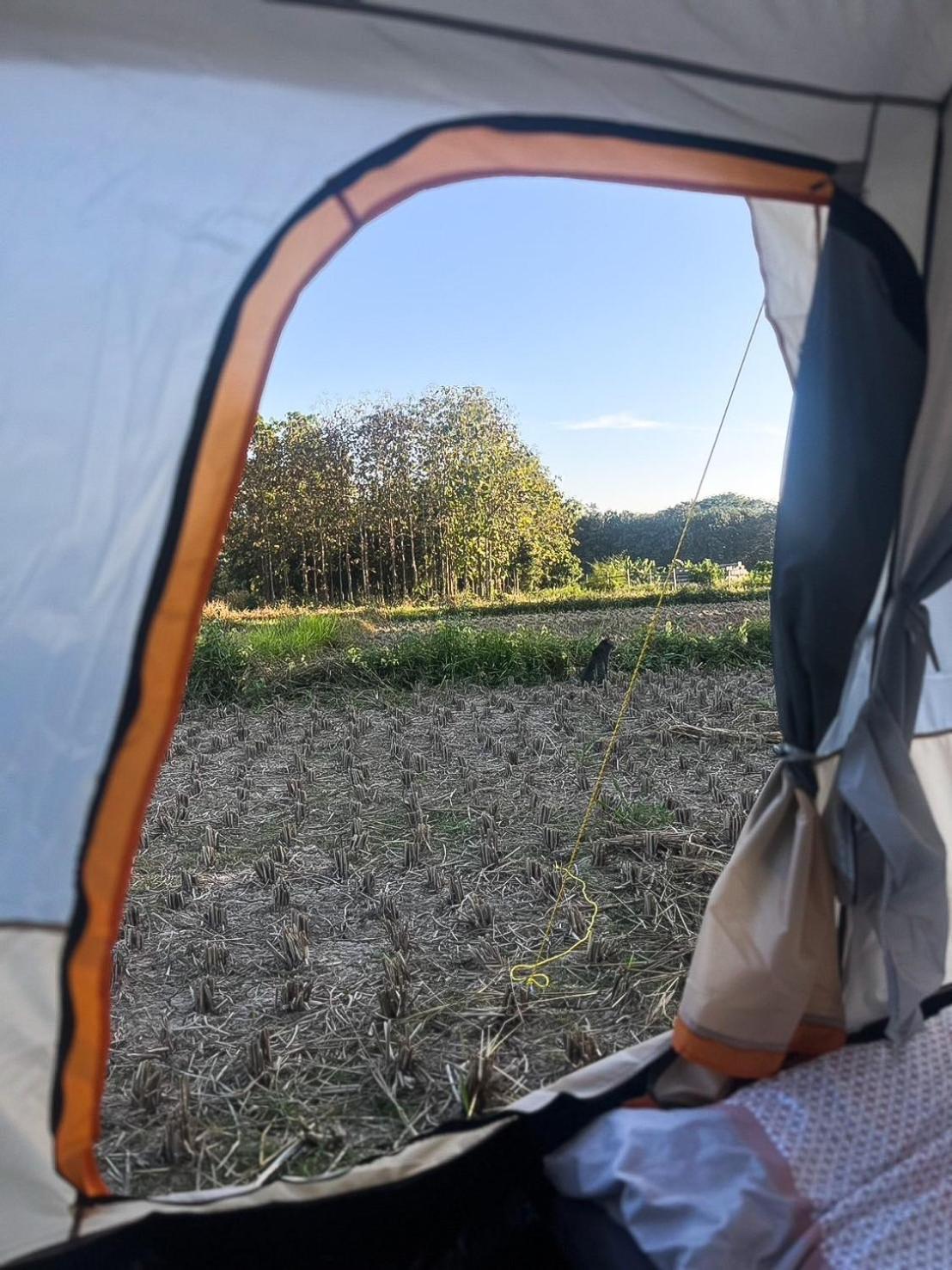 Camp View Mountain - Sell Experience By Paddy Fields Haven - Natures Nest باي المظهر الخارجي الصورة